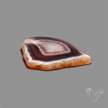 Botswana Agate Slice