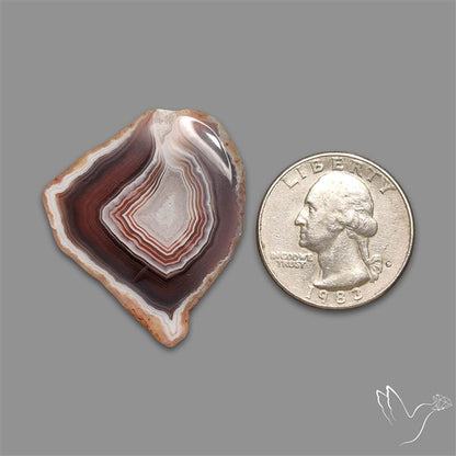 Botswana Agate Slice