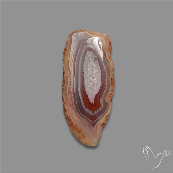 Botswana Agate Slice