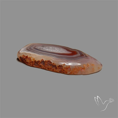 Botswana Agate Slice
