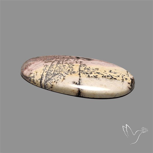 Sonoran Dendritic Rhyolite Cabochon