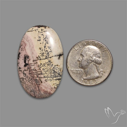 Sonoran Dendritic Rhyolite Cabochon
