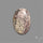 Sonoran Dendritic Rhyolite Cabochon