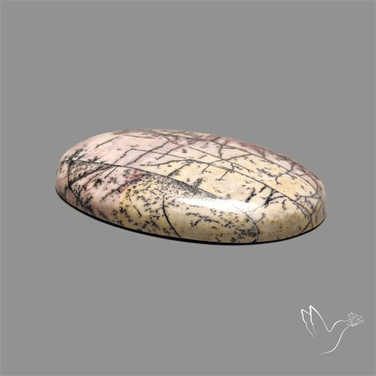 Sonoran Dendritic Rhyolite Cabochon