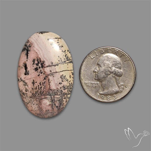 Sonoran Dendritic Rhyolite Cabochon
