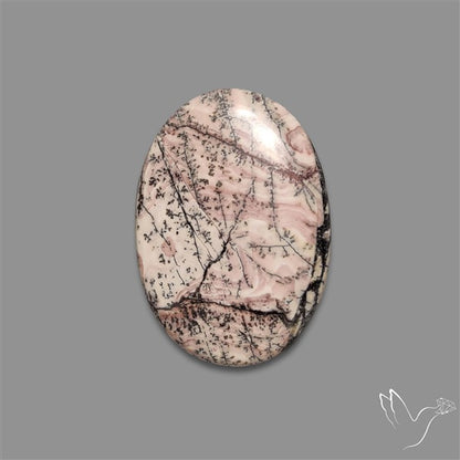 Sonoran Dendritic Rhyolite Cabochon