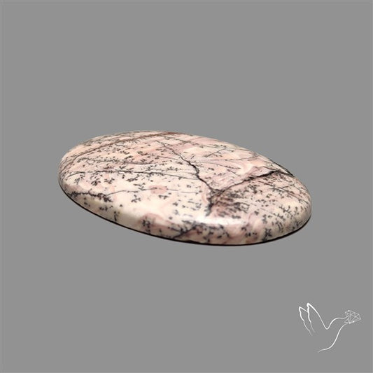 Sonoran Dendritic Rhyolite Cabochon