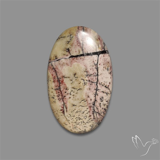 Sonoran Dendritic Rhyolite Cabochon