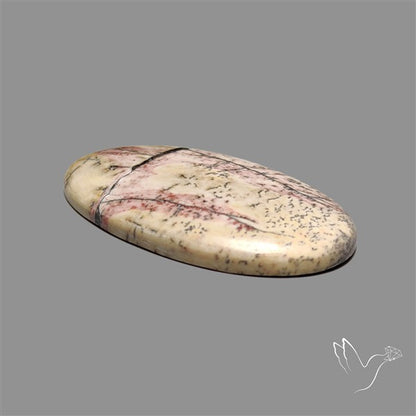Sonoran Dendritic Rhyolite Cabochon