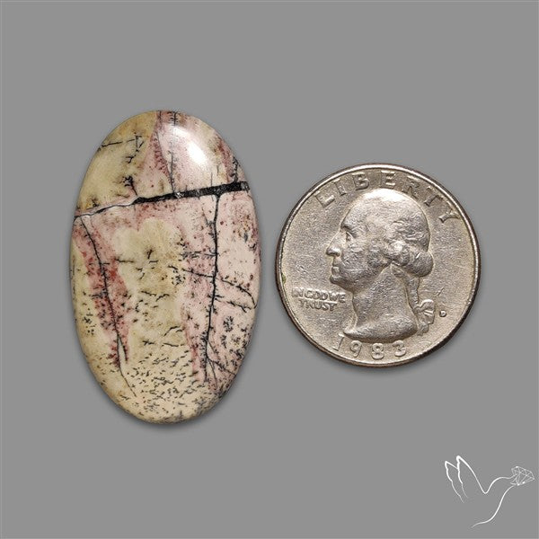 Sonoran Dendritic Rhyolite Cabochon