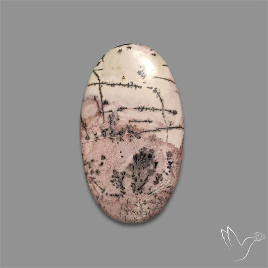 Sonoran Dendritic Rhyolite Cabochon