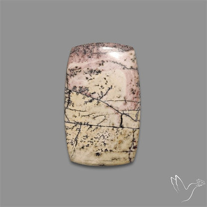 Sonoran Dendritic Rhyolite Cabochon