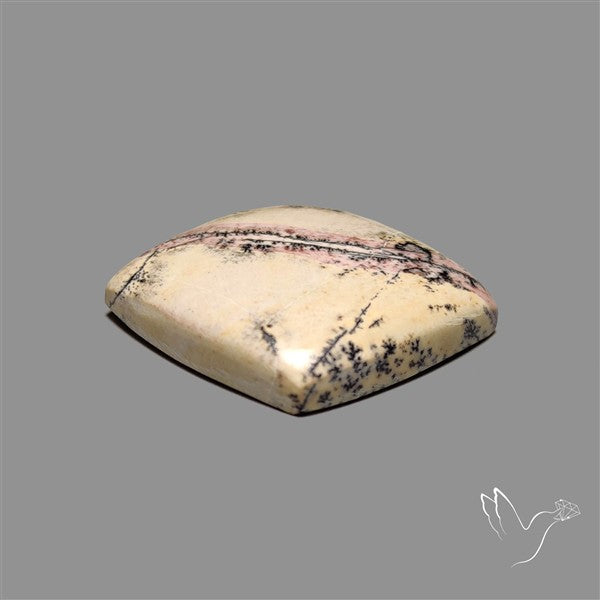 Sonoran Dendritic Rhyolite Cabochon