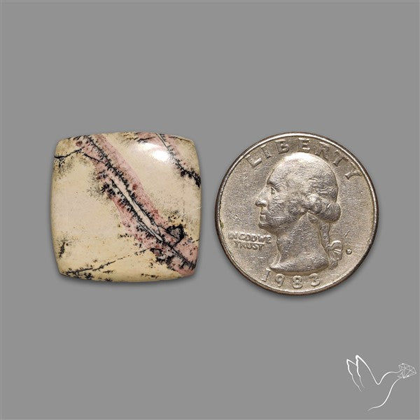 Sonoran Dendritic Rhyolite Cabochon
