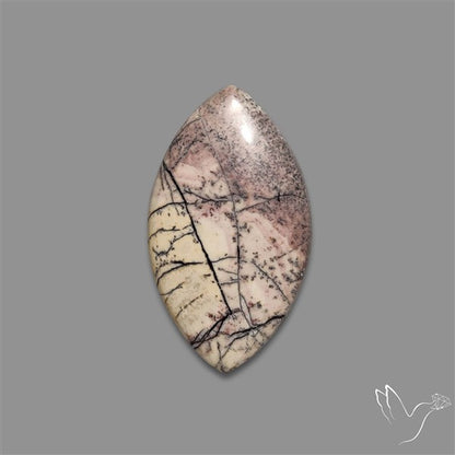 Sonoran Dendritic Rhyolite Cabochon