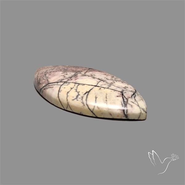 Sonoran Dendritic Rhyolite Cabochon