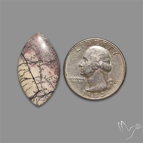 Sonoran Dendritic Rhyolite Cabochon