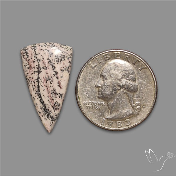 Sonoran Dendritic Rhyolite Cabochon