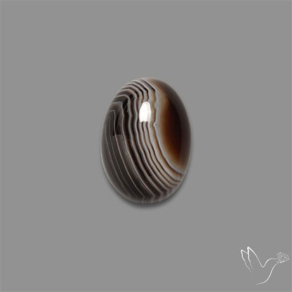 Tuxedo Agate Black Banded Agate Cabochon