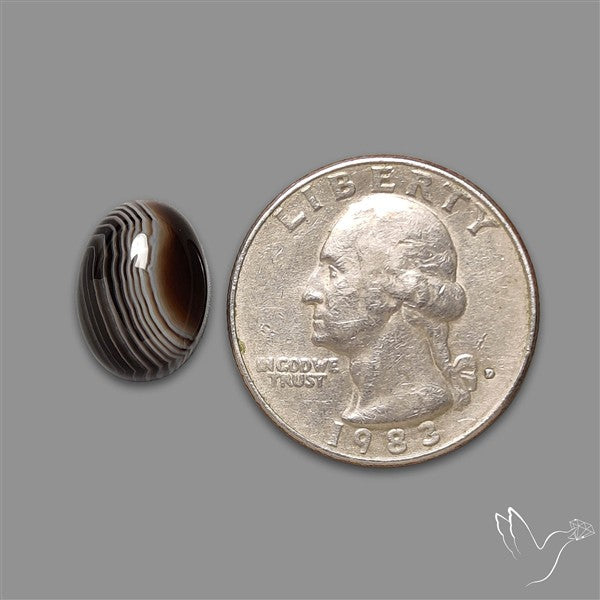 Tuxedo Agate Black Banded Agate Cabochon
