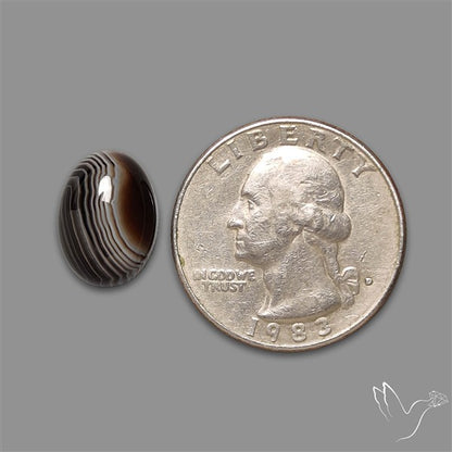 Tuxedo Agate Black Banded Agate Cabochon