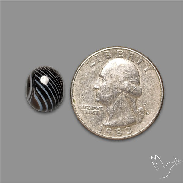 Tuxedo Agate Black Banded Agate Cabochon