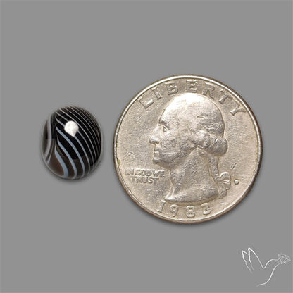 Tuxedo Agate Black Banded Agate Cabochon