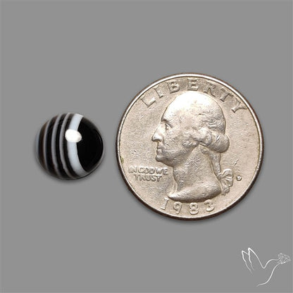 Tuxedo Agate Black Banded Agate Cabochon