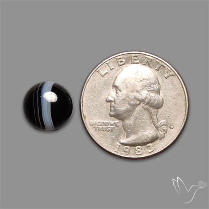 Tuxedo Agate Black Banded Agate Cabochon