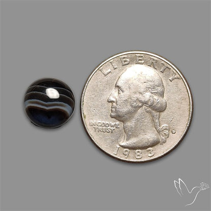Tuxedo Agate Black Banded Agate Cabochon