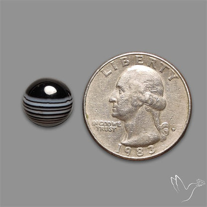 Tuxedo Agate Black Banded Agate Cabochon