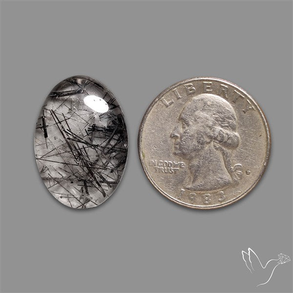 Black Tourmalinated Quartz Cabochon