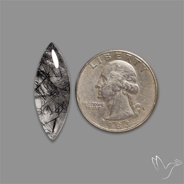 Black Tourmalinated Quartz Cabochon