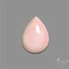Caribbean Rare Pink Conch Shell Cabochon