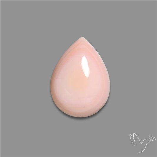 Caribbean Rare Pink Conch Shell Cabochon