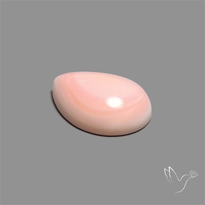 Caribbean Rare Pink Conch Shell Cabochon