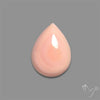 Caribbean Rare Pink Conch Shell Cabochon