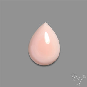 Caribbean Rare Pink Conch Shell Cabochon