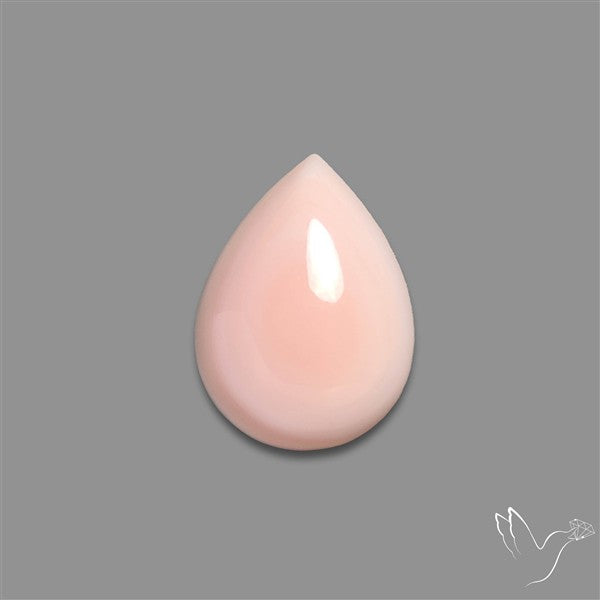Caribbean Rare Pink Conch Shell Cabochon