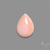 Caribbean Rare Pink Conch Shell Cabochon