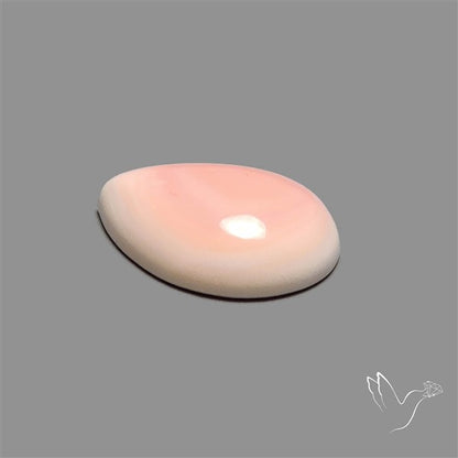 Caribbean Rare Pink Conch Shell Cabochon
