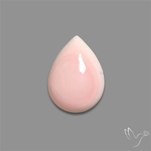 Caribbean Rare Pink Conch Shell Cabochon