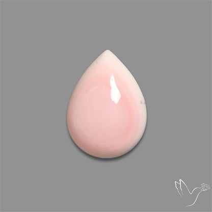 Caribbean Rare Pink Conch Shell Cabochon