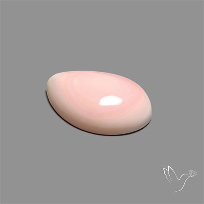 Caribbean Rare Pink Conch Shell Cabochon