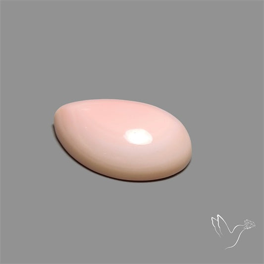 Caribbean Rare Pink Conch Shell Cabochon