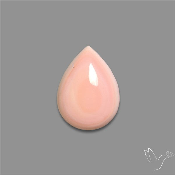 Caribbean Rare Pink Conch Shell Cabochon