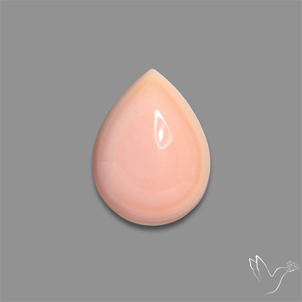 Pink Conch Shell Cabochon