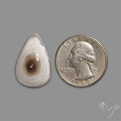 Owyhee Opal Eye Cabochon