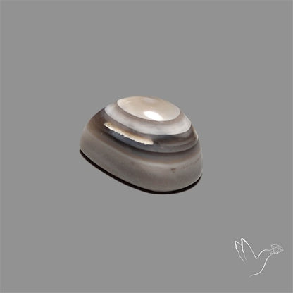Owyhee Opal Eye Cabochon