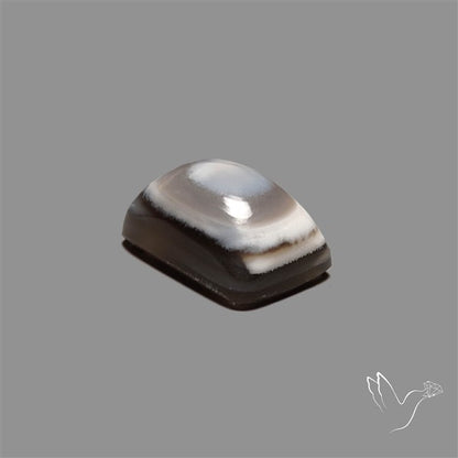 Owyhee Opal Eye Cabochon